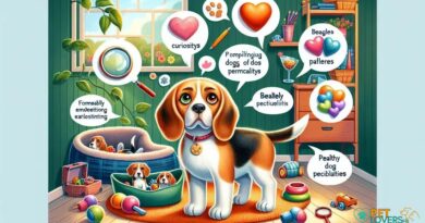 Curiosities about the Beagle: Unveiling the Secrets of Your Furry Friend