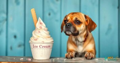 ice cream for dogs