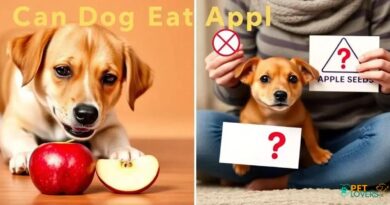 Can Dog Eat Apple: Surprising Truth Revealed!