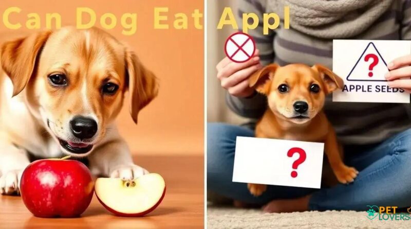 Can Dog Eat Apple: Surprising Truth Revealed!