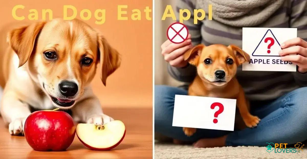 Can Dog Eat Apple: Surprising Truth Revealed!