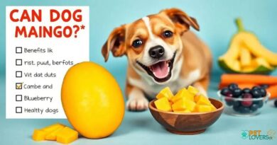 Can Dog Eat Mango? The Surprising Truth Revealed!