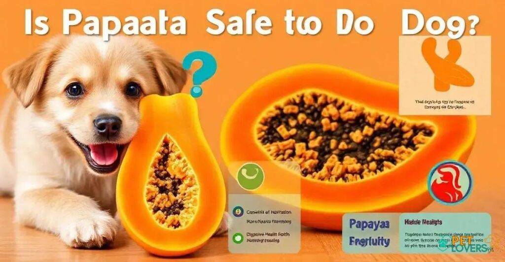 Can Dog Eat Papaya? The Shocking Truth Revealed!