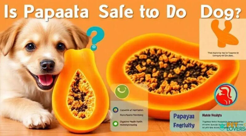 Can Dog Eat Papaya? The Shocking Truth Revealed!