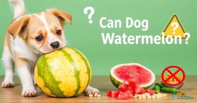 Can Dog Eat Watermelon? Shocking Truths Revealed!