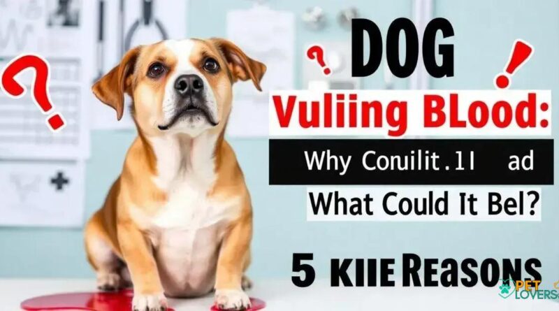 Dog Vomiting Blood: What Could It Be? 5 Shocking Reasons