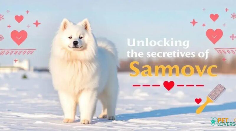 Unlocking the Secrets of the Majestic Samoyed: A Comprehensive Guide