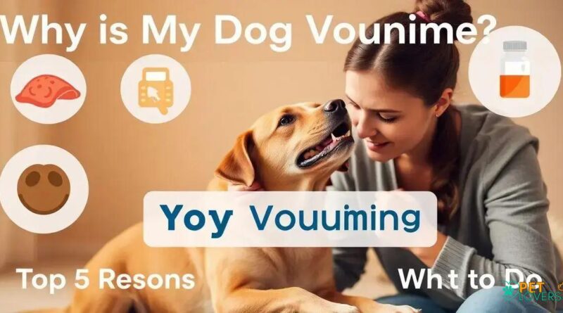 Why Is My Dog Vomiting? 5 Common Causes You Need to Know