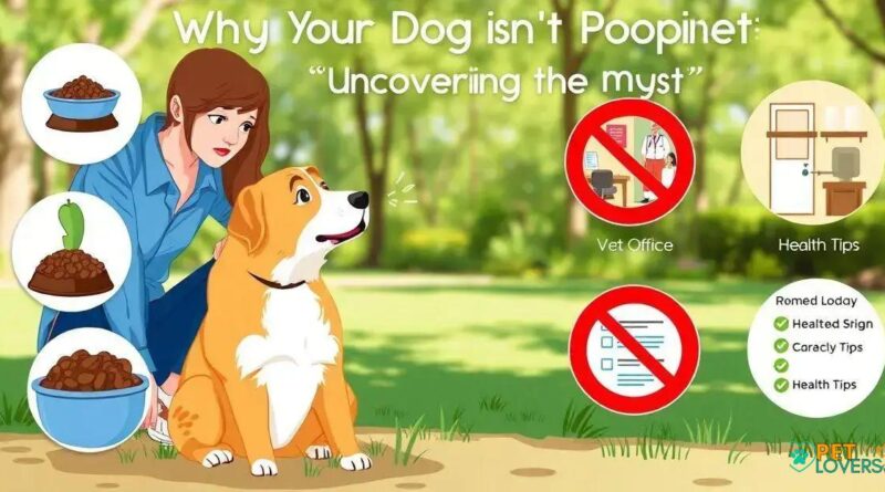 Why Your Dog Isn't Pooping: Uncovering the Mystery